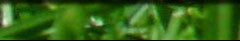 Banner Decorativo